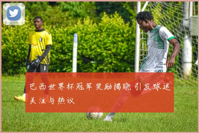 巴西世界杯冠军奖励揭晓 引发球迷关注与热议